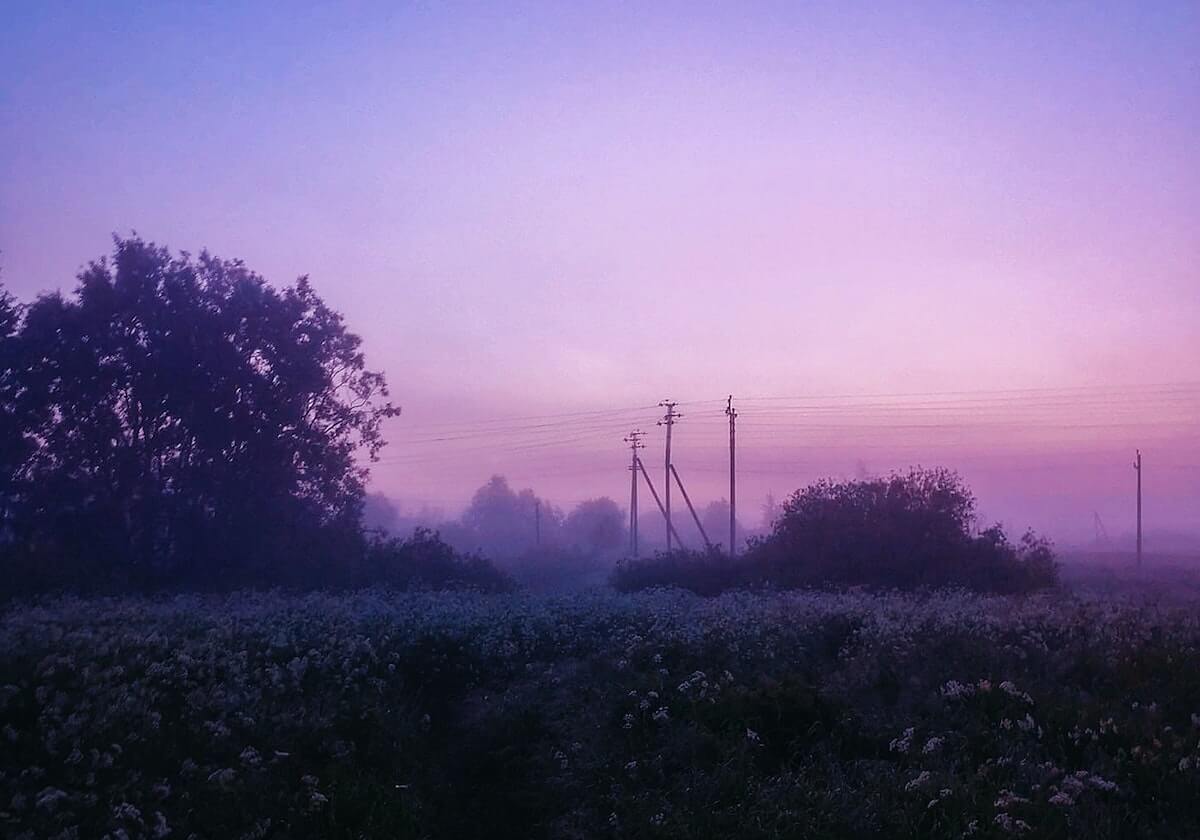 体育平台：让运动成为日常的主旋律